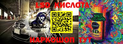 твердый Новозыбков