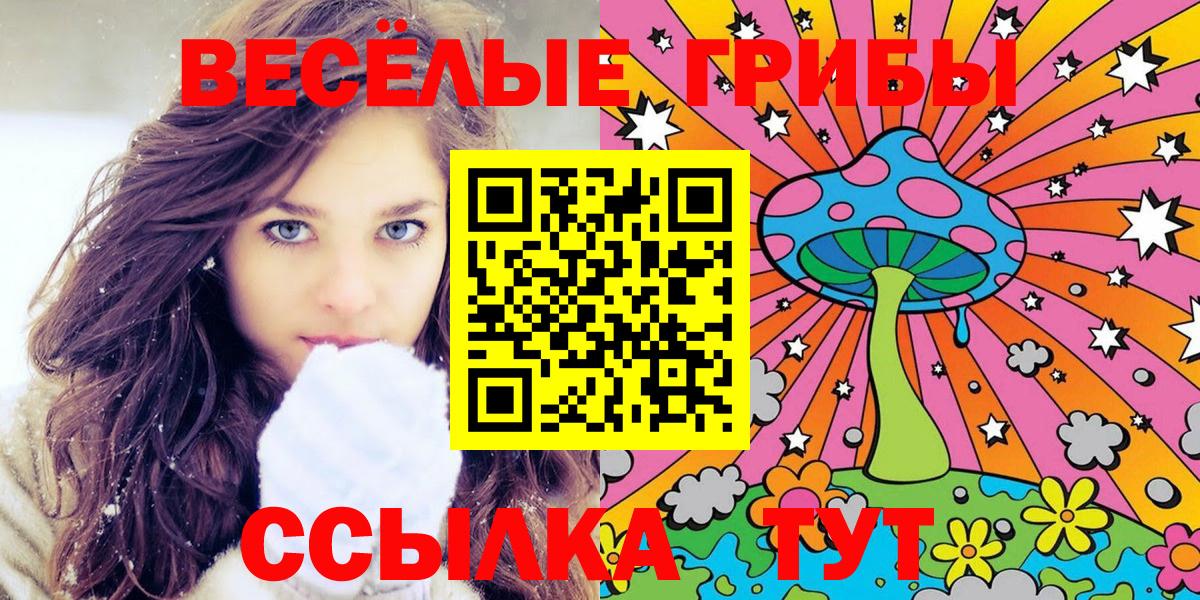 Анжеро-Судженск  купить закладку  Вход с VPN  Галлюциногенные грибы мицелий 